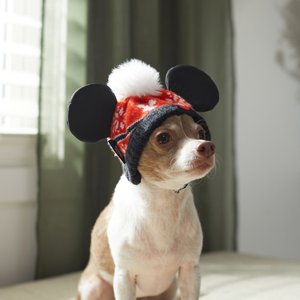 Disney Mickey Mouse Holiday Dog & Cat Knit Hat, X-Large/XX-Large