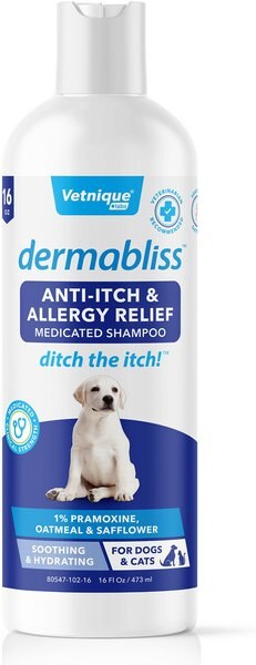 Vetnique Labs Dermabliss Medicated Anti-Itch & Allergy Relief Soothing Oatmeal Medicated Dog & Cat Shampoo, 16-oz bottle slide 1 of 7