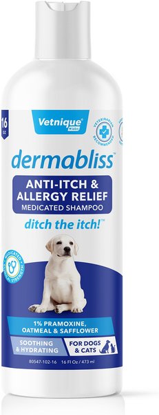 Vetnique Labs Dermabliss Medicated Anti-Itch & Allergy Relief Soothing Oatmeal Medicated Dog & Cat Shampoo, 16-oz bottle slide 1 of 10