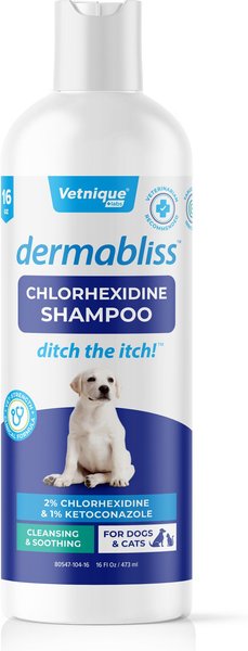Vetnique Labs Dermabliss Medicated Shampoo Anti-Bacterial & Anti-Fungal Medicated Dog & Cat Shampoo, 16-oz bottle slide 1 of 8