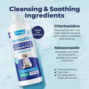 Vetnique Labs Dermabliss Medicated Anti-Bacterial & Anti-Fungal Chlorhexidine Infection Cat & Dog Shampoo, 16-fl oz bottle