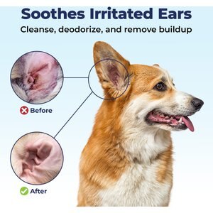 Vetnique Labs Oticbliss Ear Flush Cleaner Anti-Bacterial & Anti-Fungal Medicated Dog & Cat Ear Flush Antiseptic Rinse Cleanser, 12-oz bottle