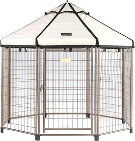 chewy pet gazebo