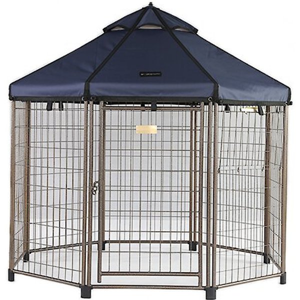 LUCKY DOG Chain Link Dog Kennel, 6 x 5 x 10 ft