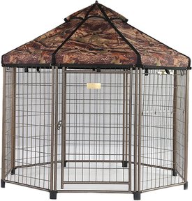 chewy pet gazebo