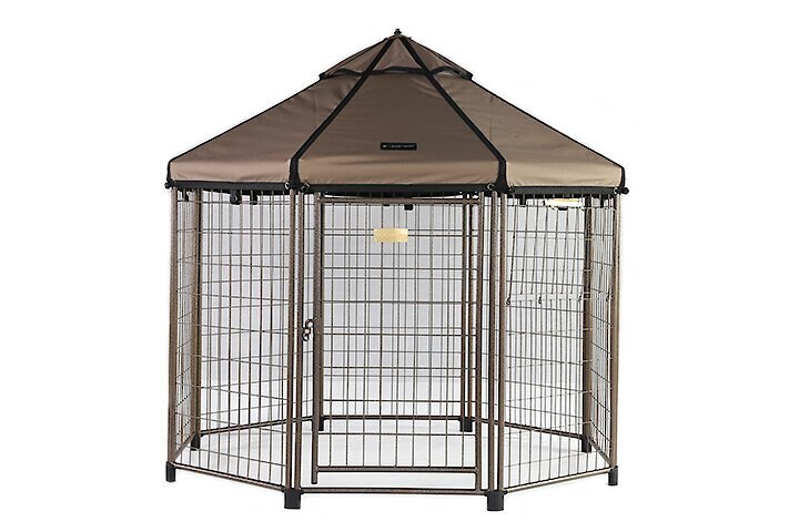 chewy pet gazebo