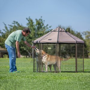 Win World International Pet Gazebo Dog Kennel, Earth Taupe, 5-ft