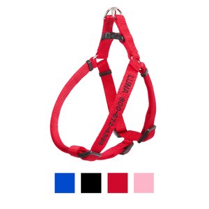 Frisco Nylon Step In Personalized Back Clip Dog Harness, Medium, Red