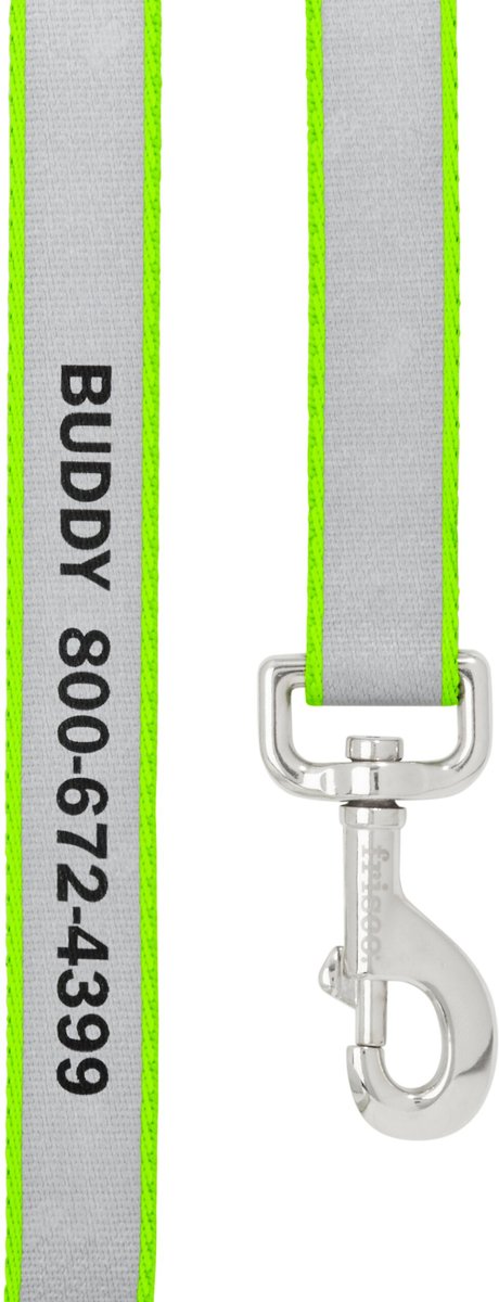 Frisco Baby Chicks Polyester Dog Leash