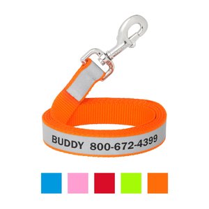 Frisco Solid Polyester Personalized Reflective Dog Leash, Small: 6-ft long, 5/8-in wide, Orange