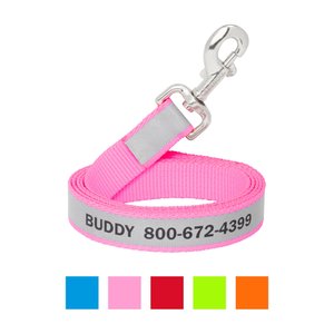 Frisco Solid Polyester Personalized Reflective Dog Leash, Large: 6-ft long, 1-in wide, Pink
