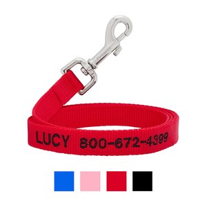Frisco Solid Nylon Personalized Dog Leash, Small: 6-ft long, 5/8-in wide, Red
