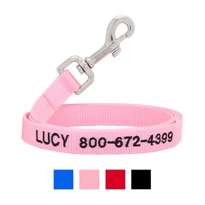 Frisco Solid Nylon Personalized Dog Leash, Medium: 4-ft long, 3/4-in wide, Pink