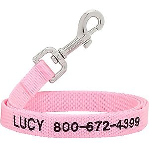 Frisco Solid Nylon Personalized Dog Leash, Medium: 6-ft long, 3/4-in wide, Pink