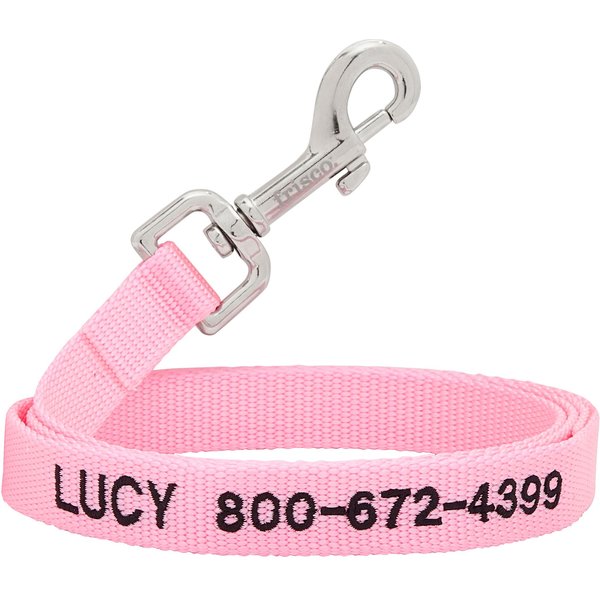 Lucy & Co. 5 Foot Dog Leash - Best Designer Dog Leashes - Leash for Big  Dogs, Small Dog Leash, or Medium Dog Leash - Puppy Leash - Dog Accessories  