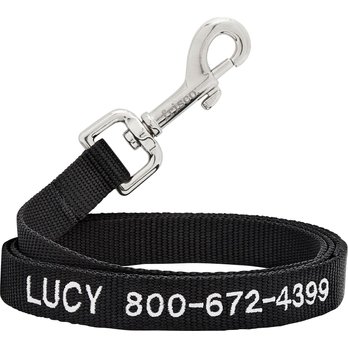 Personalized & Custom Dog Leashes - Free shipping | Chewy