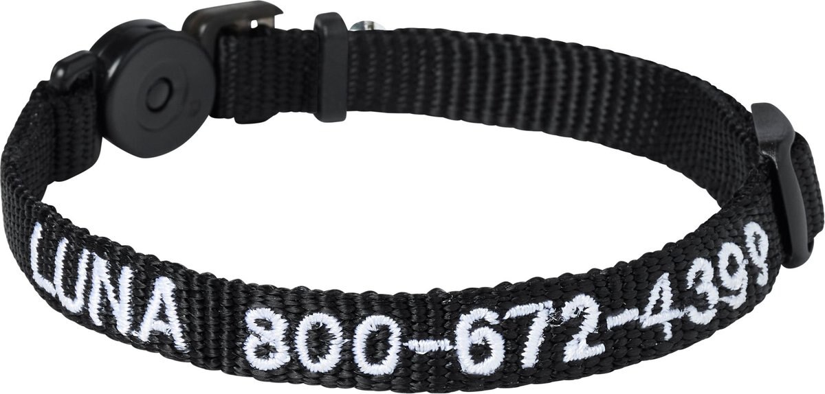 Personalized breakaway shop collar