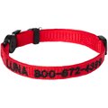 Frisco Nylon Personalized Breakaway Cat Collar with Bell, Red, 8 to 12-in neck, 3/8-in wide