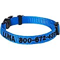 Frisco Nylon Personalized Breakaway Cat Collar with Bell, Blue, 8 to 12-in neck, 3/8-in wide