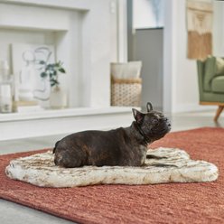 Frisco Faux Fur Orthopedic Pelt Pillow Dog Bed w/Removable Cover, Large, Brown