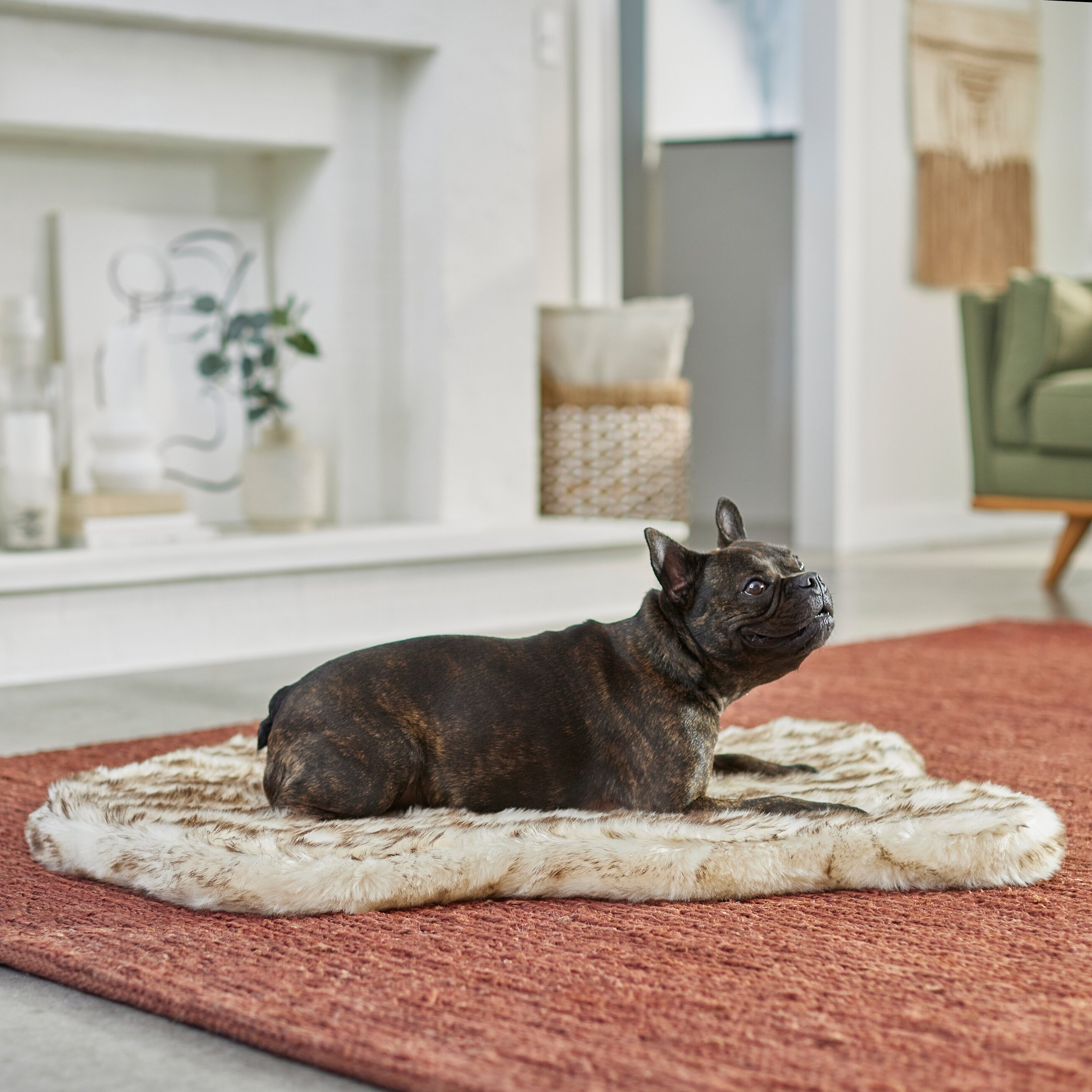 Frisco Faux Fur Orthopedic Mat Dog Bed with Removable Cover