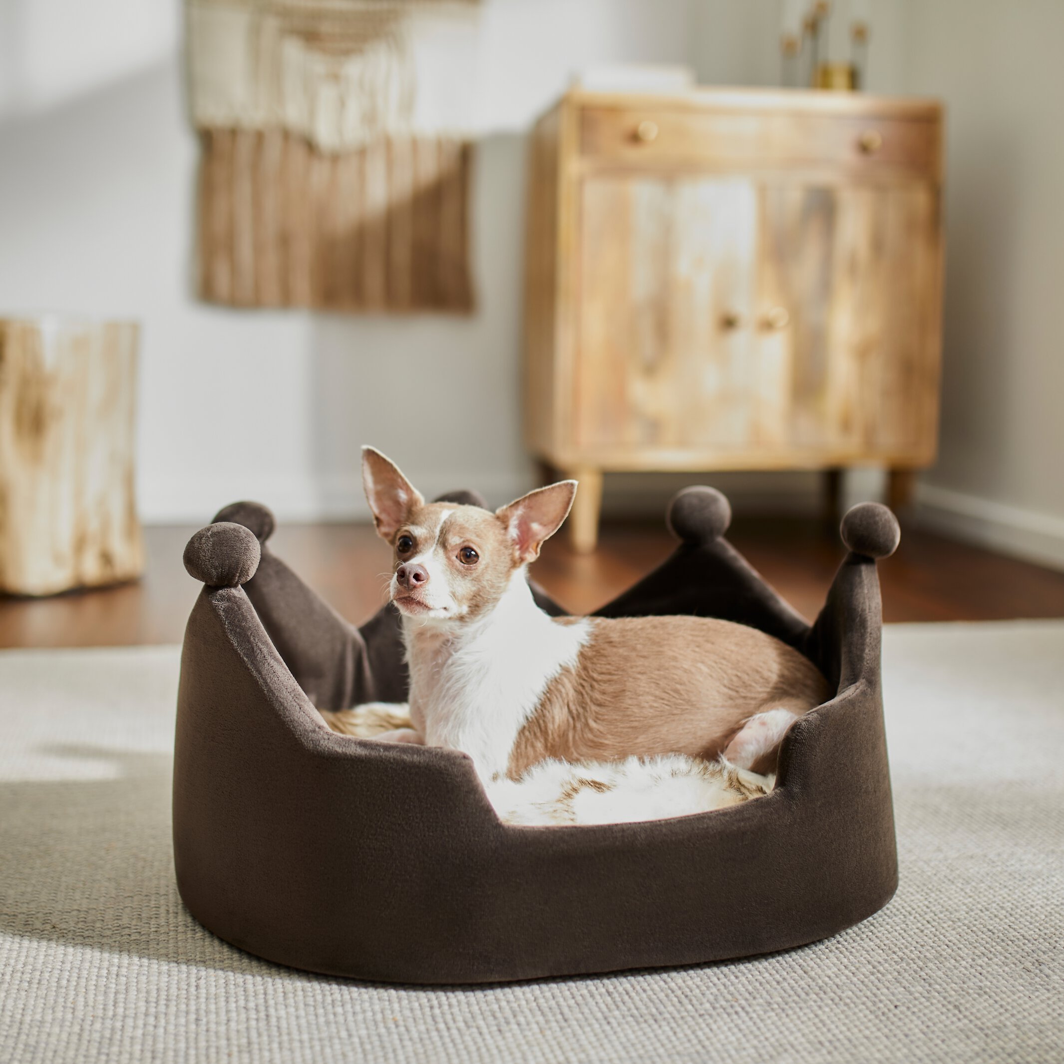 Chewy crown bed sale