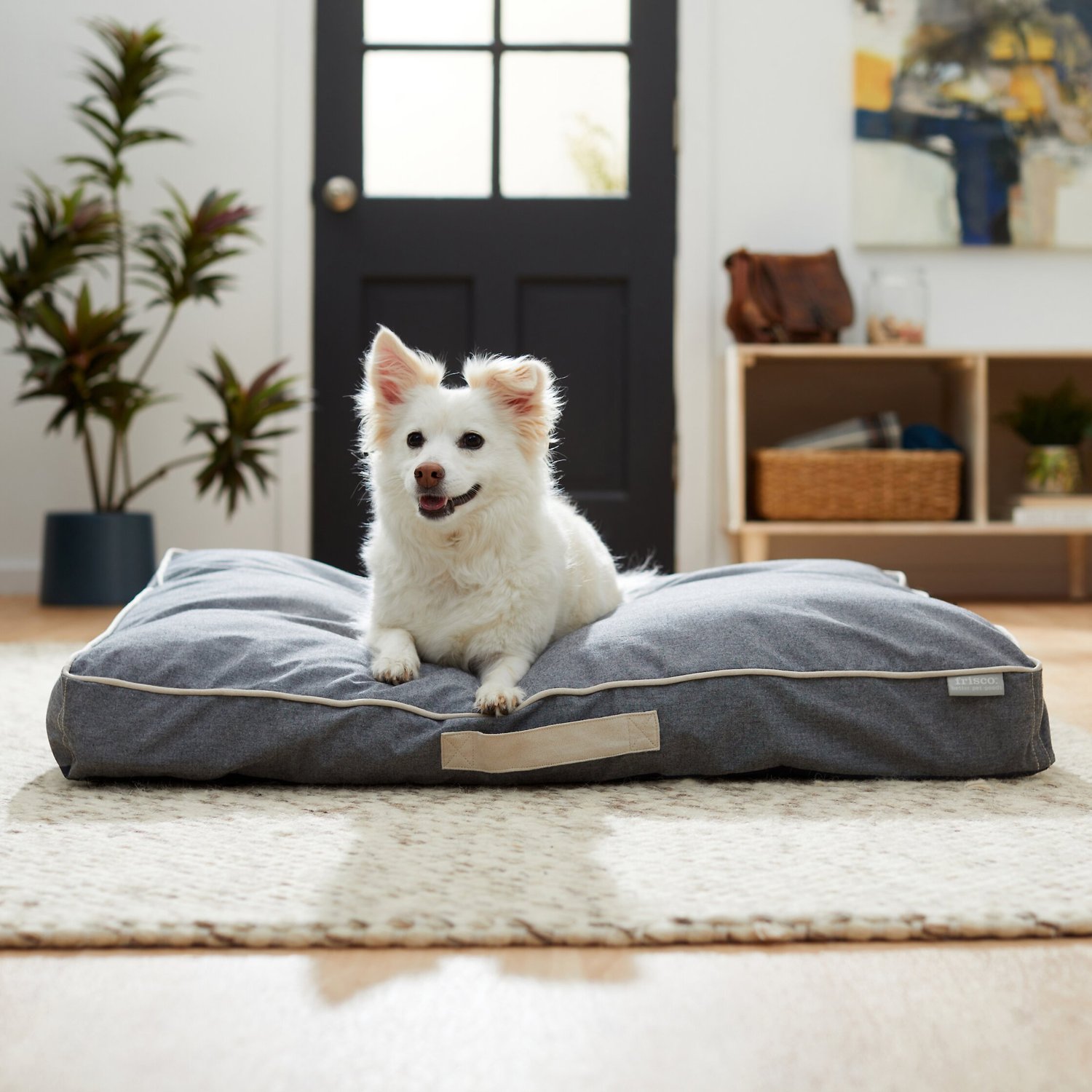 frisco pillow dog bed