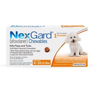 NexGard Chew for Dogs, 4-10 lbs, (Orange Box), 1 Chew (1-mo. supply)