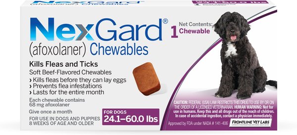 NexGard Chew for Dogs, 24.1-60 lbs, (Purple Box), 1 Chew (1-mo. supply) slide 1 of 10