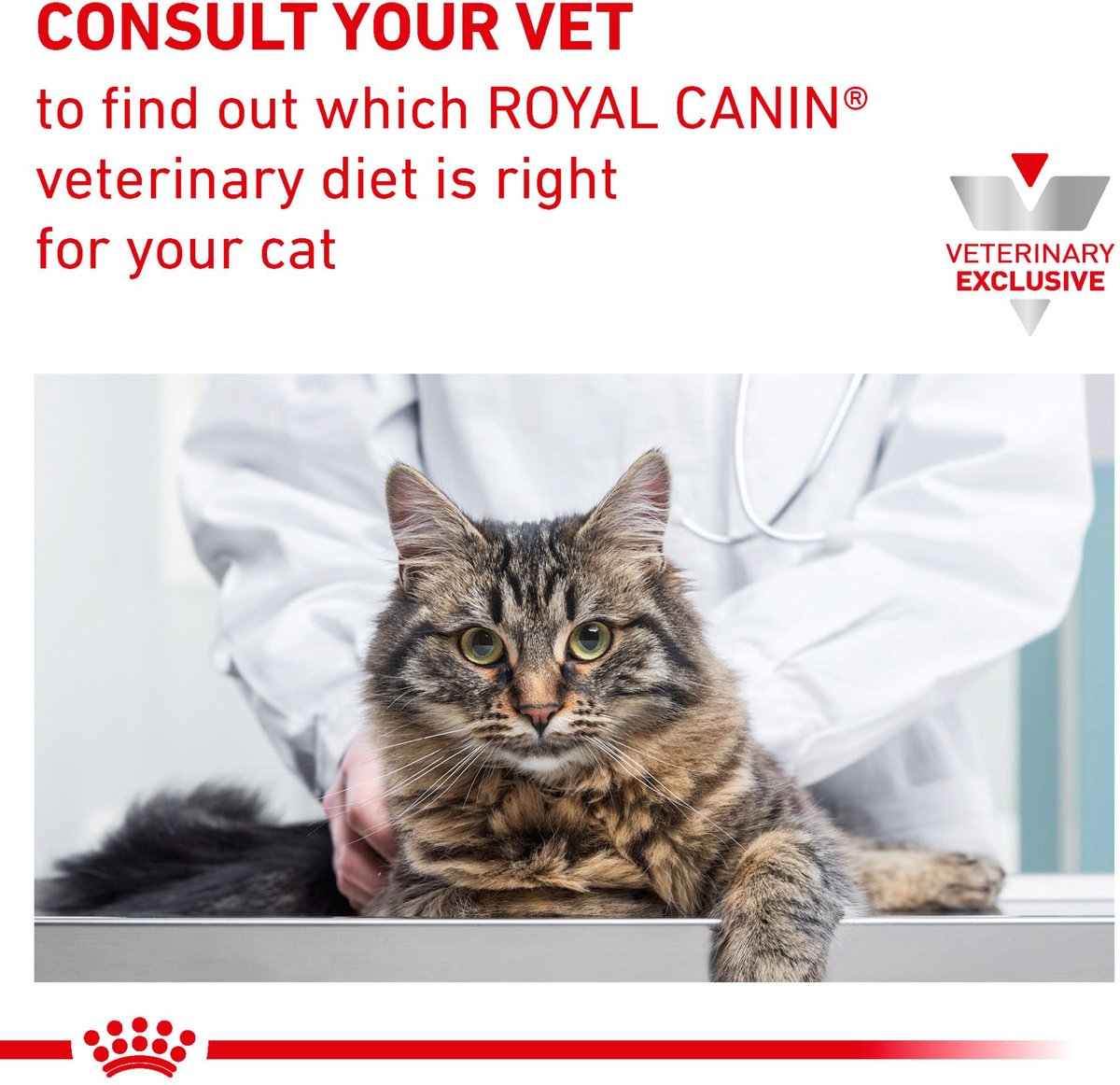 Royal canin renal support hot sale e