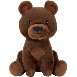Frisco Camping Bear Plush Squeaky Dog Toy, Small/Medium