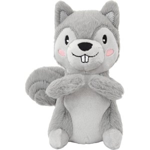 Frisco Camping Squirrel Plush Squeaky Dog Toy