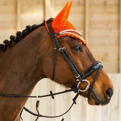 Horze Equestrian Grayson Classic Dressage Ergonomic Horse Bridle, Black, Cob
