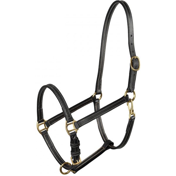 HORZE EQUESTRIAN Fremont Leather Horse Halter, Black, Horse - Chewy.com
