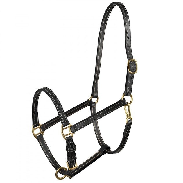 HORZE EQUESTRIAN Fremont Leather Horse Halter, Black, Horse - Chewy.com