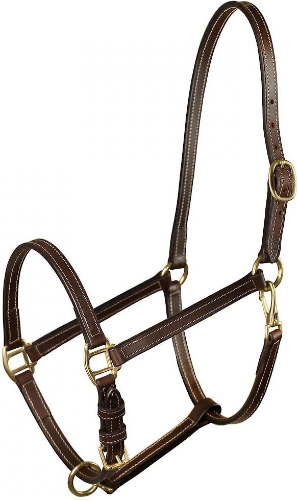 HORZE EQUESTRIAN Fremont Leather Horse Halter, Brown, Cob - Chewy.com