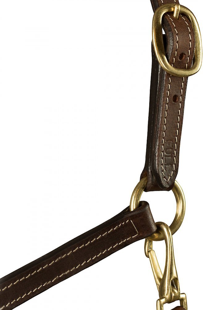 Camelot Leather Stable Horse Halter, Brown