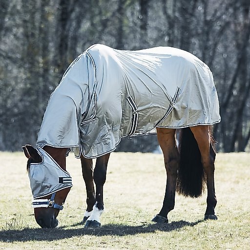 Horze Equestrian La Pampa Horse Fly Set, Grey, 75