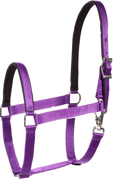Horze Equestrian Lined Horse Halter, Purple, Warmblood slide 1 of 2