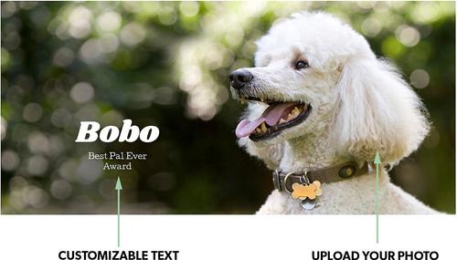 Show full view: Frisco Basic White Personalized Coffee Mug, 11-oz slide 2 of 5