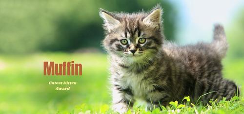 Show full view: Frisco Basic White Personalized Coffee Mug, 11-oz slide 3 of 5