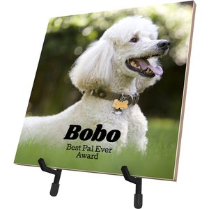 Frisco Personalized Basic Ceramic Photo Tile with Stand, 8" x 8"