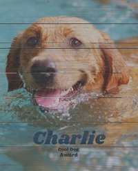 Frisco Personalized "Classic Photo" Rustic Wood Wall Decor, 16" x 20"