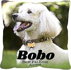 Frisco Personalized "Classic Photo" Throw Pillow, 16" x 16"