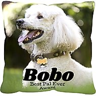 Frisco Personalized Basic Throw Pillow, 16" x 16"