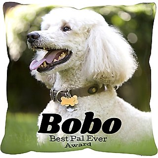 Frisco Personalized Basic Throw Pillow, 16" x 16" slide 1 of 3