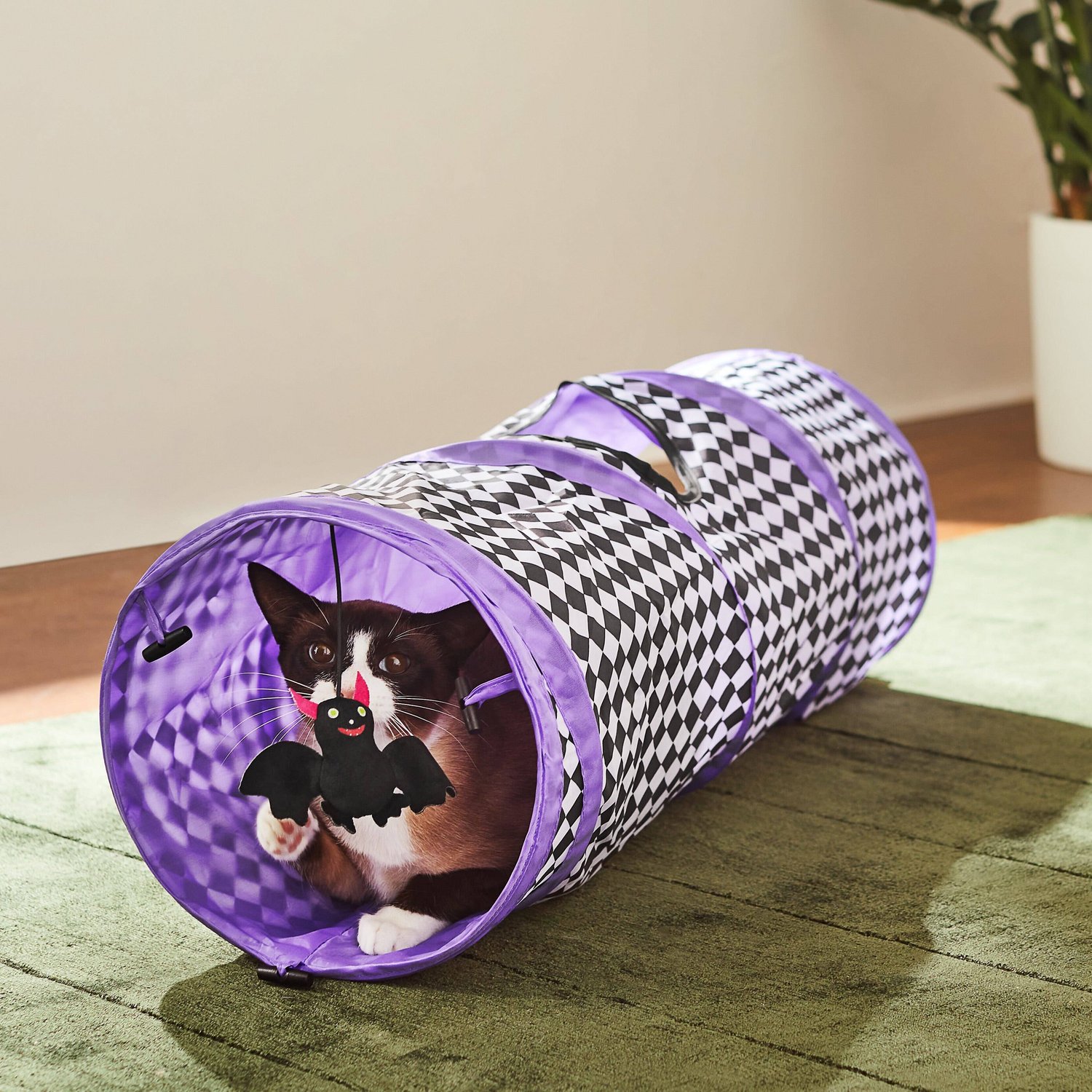 Frisco Halloween Checkered Foldable Play Tunnel Cat Toy with Catnip