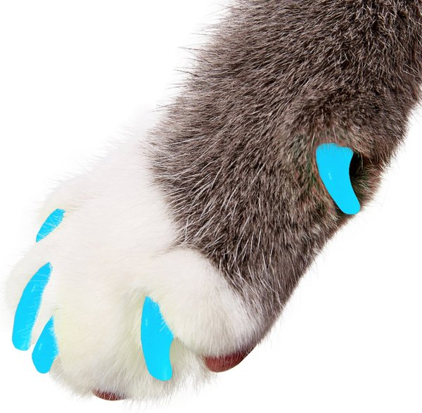 Purrdy Paws Soft Cat Nail Caps, 20 count, Blue Glow in the Dark, Medium slide 1 of 9