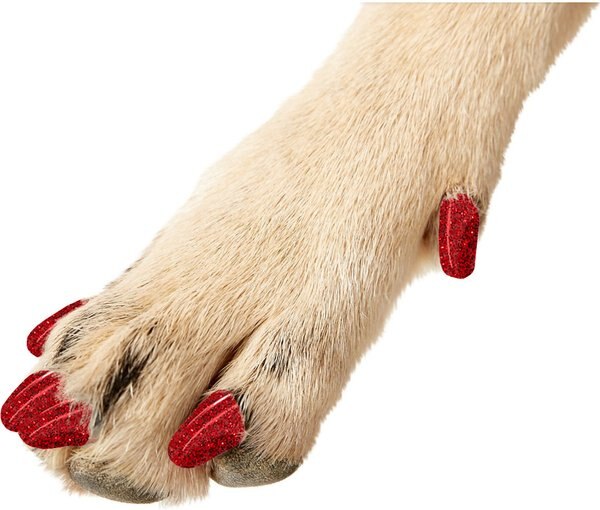 Purrdy Paws Soft Dog Nail Caps, 40 count, Ruby Red Glitter, X-Small slide 1 of 10