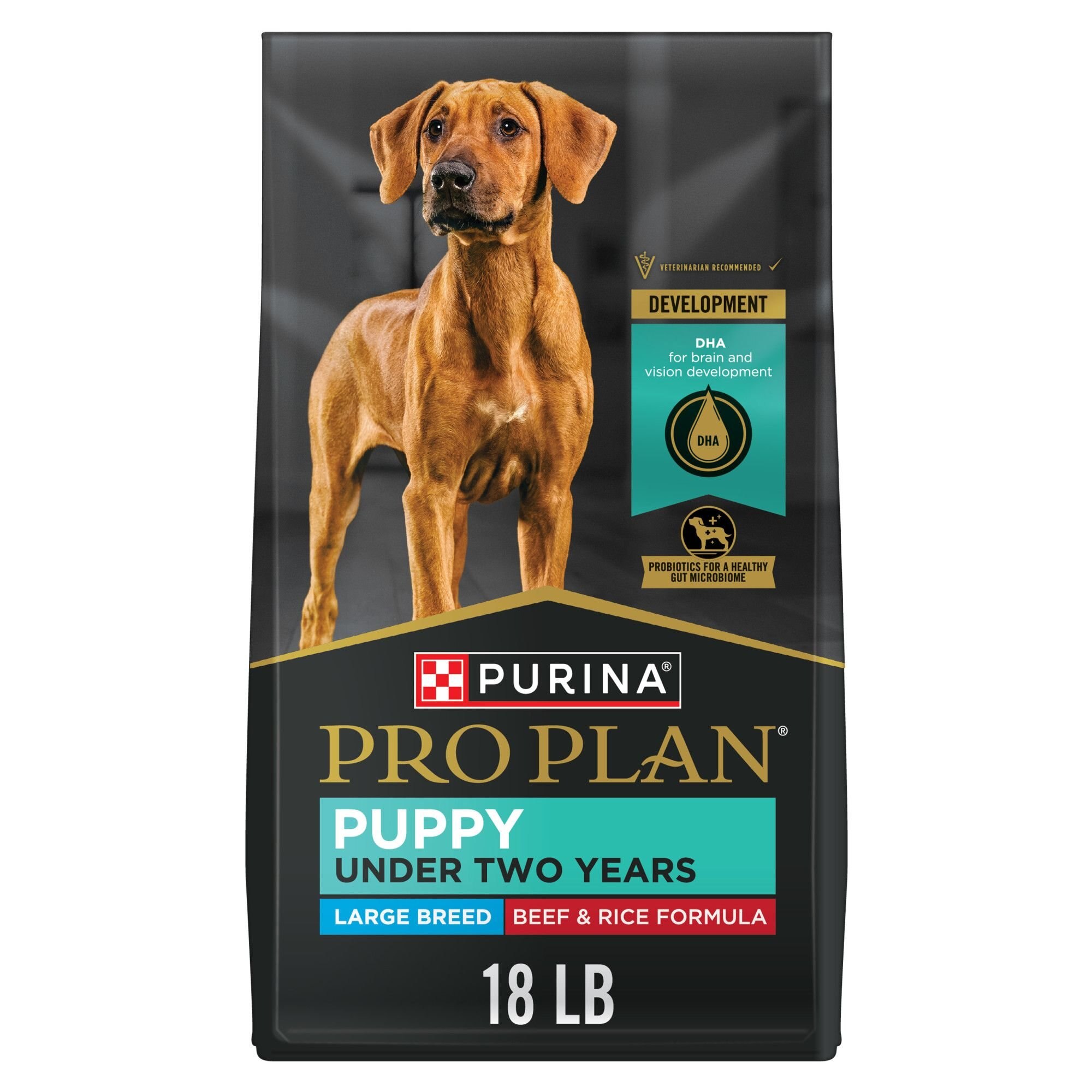 PURINA PRO PLAN Development Beef & Rice Formula High Protein Large ...